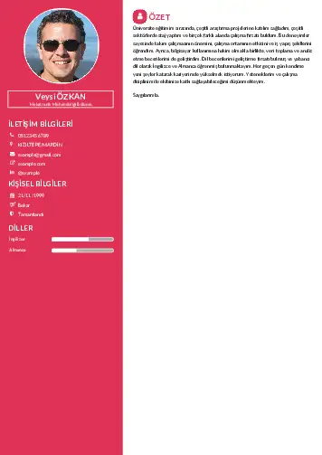 Mekatronik Mühendisliği Cv Örnekleri cv indir